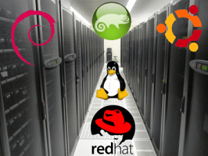 Linux in the Enterprise